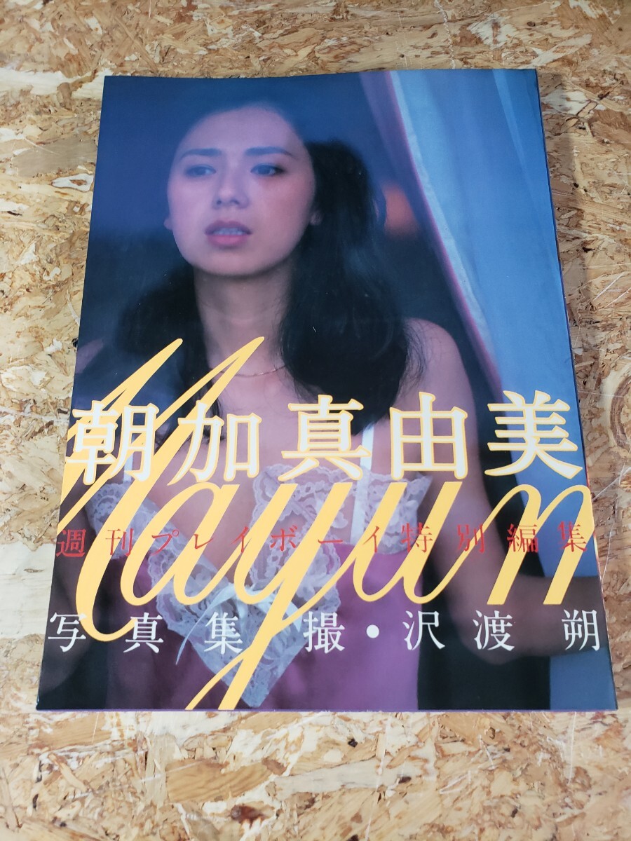 Yahoo!オークション -「朝加真由美 写真集」(写真集) (アート Yahoo!オークション -「朝加真由美 写真集」(写真集) (アート