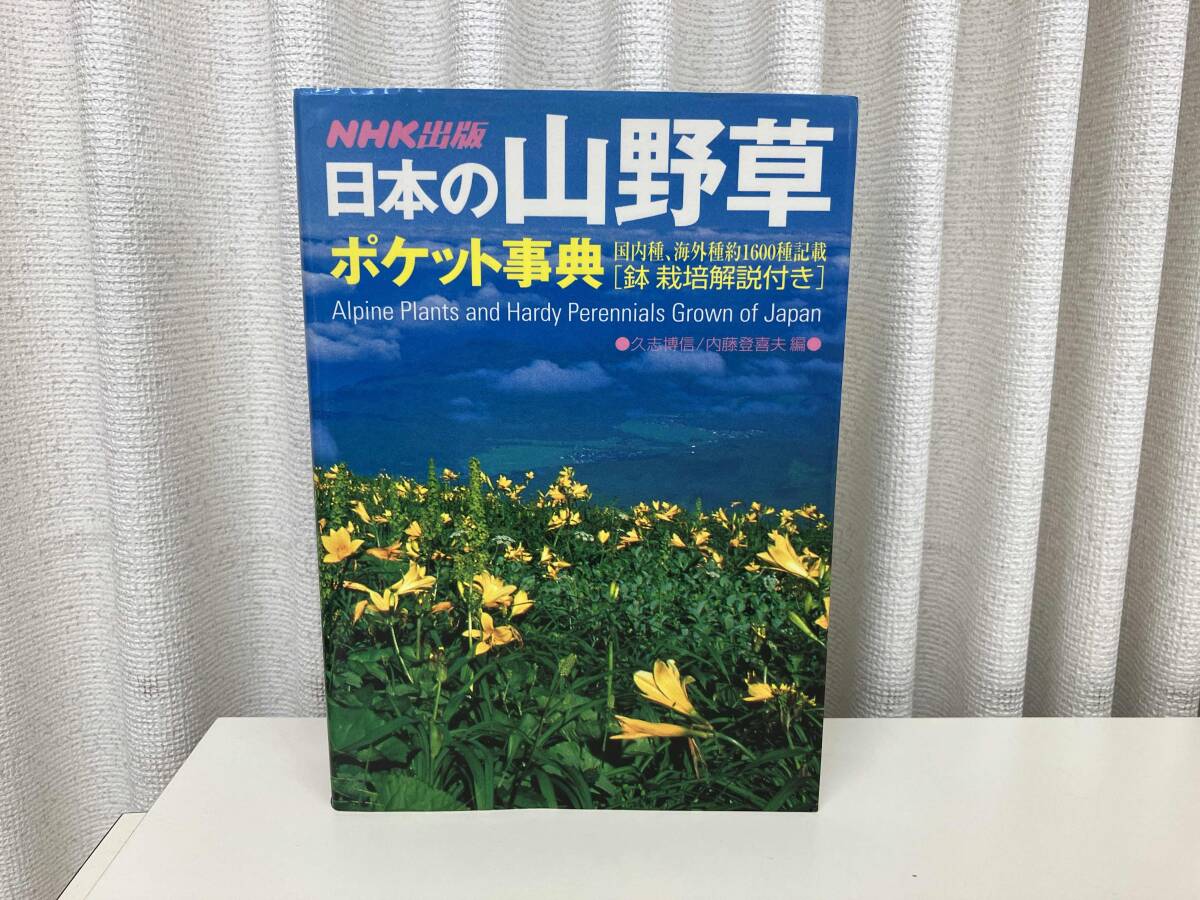 2025年最新】Yahoo!オークション -小原流(本、雑誌)の中古品 2025年最新】Yahoo!オークション -小原流(本、雑誌)の中古品