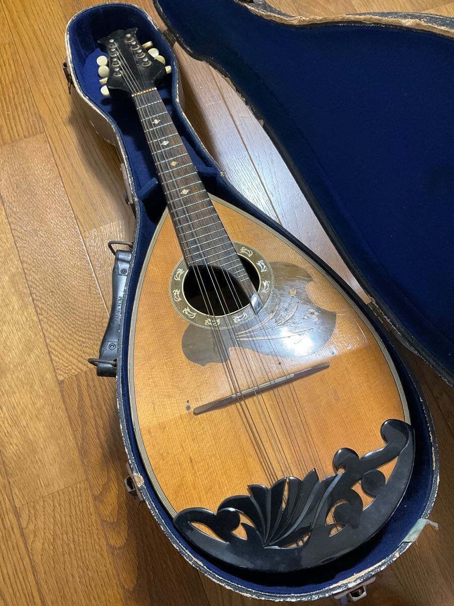 Yahoo!オークション -「kiso suzuki」(マンドリン) (弦楽器)の Yahoo!オークション -「kiso suzuki」(マンドリン) (弦楽器)の