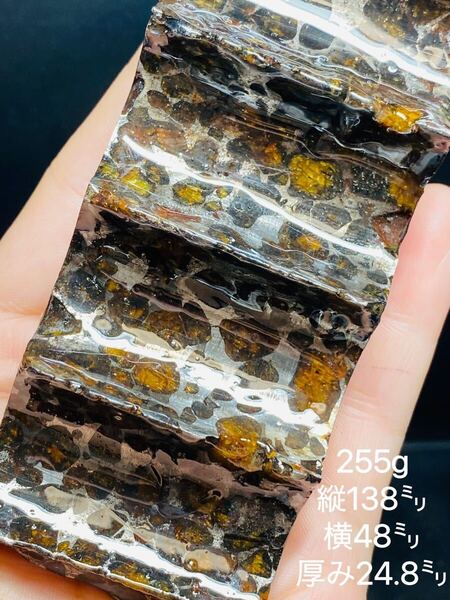 鑑別書付き パラサイト隕石 255g 138㍉隕石 石鉄隕石 筆立て コーティング済み メテオライトジャパン 宇宙隕石 最高品質