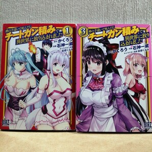 神の手違いで死んだらチートガン積みで異世界に放り込まれました 1、3 (バーズコミックス) 石神一威 かくろう 能都くるみ