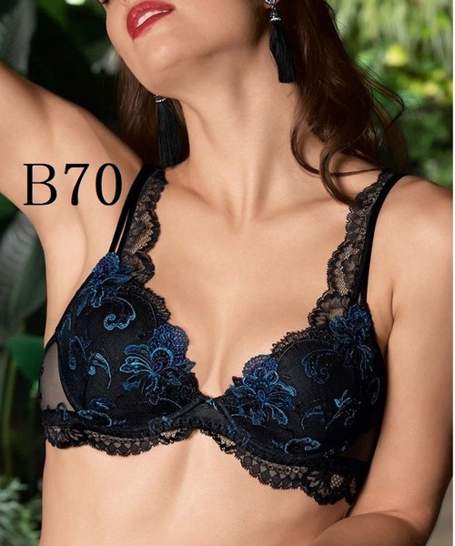B70★リズシャルメル Lise Charmel NUIT ELEGANCE フランス高級ブラ