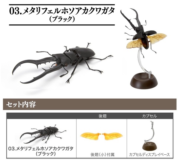 【送料無料】いきもの大図鑑 くわがた04 03.メタリフェルホソアカクワガタ (ブラック)