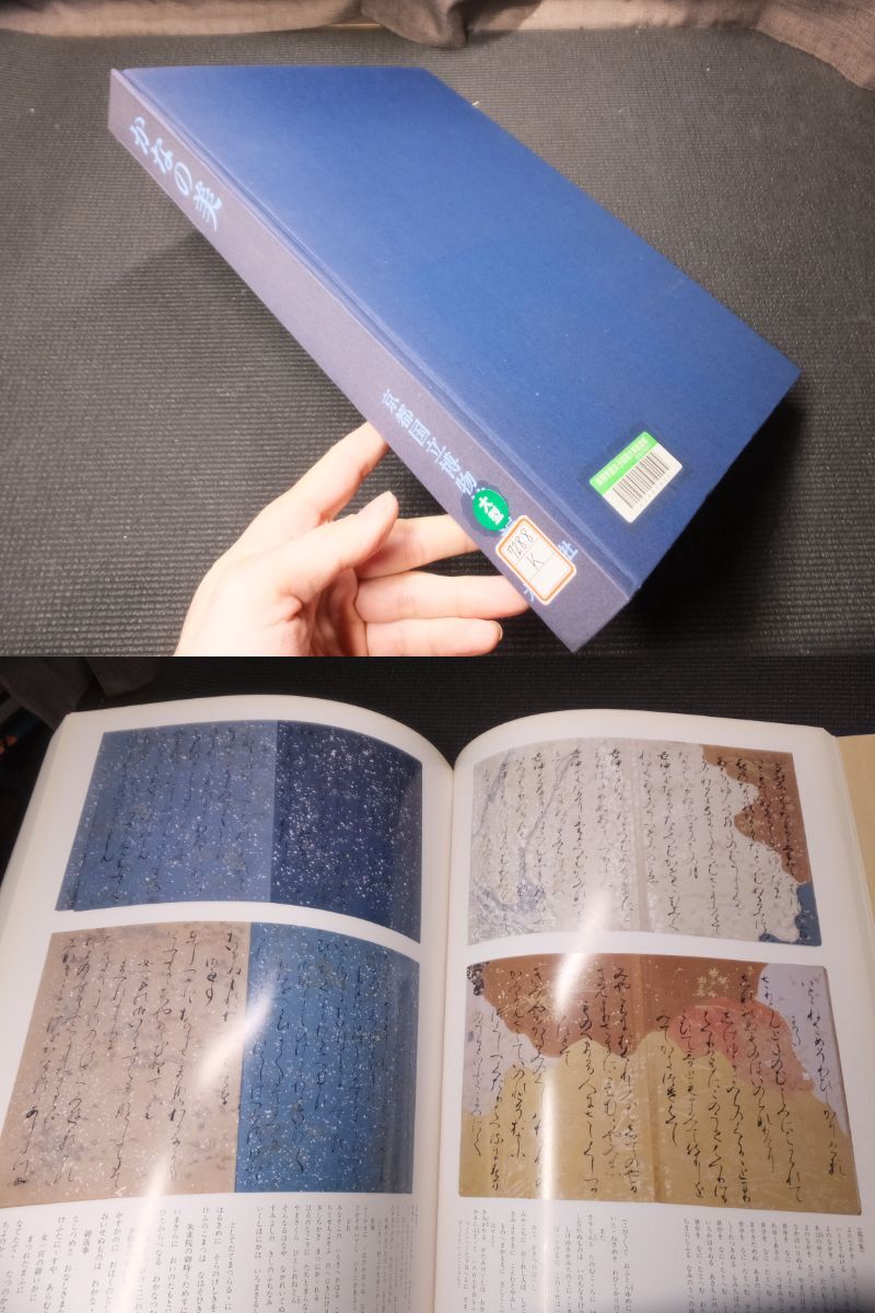 Amazon.co.jp: 零本 田中親美『真写富士百図 東北之部』明治31年