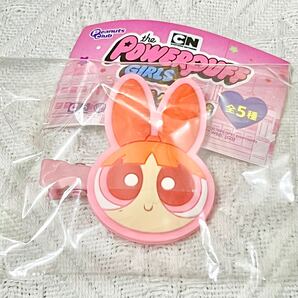 新品 パワーパフガールズ 前髪クリップ ブロッサム