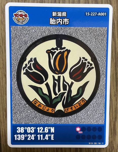 【送料0円】新潟県 胎内市 マンホールカード A001 チューリップ 005