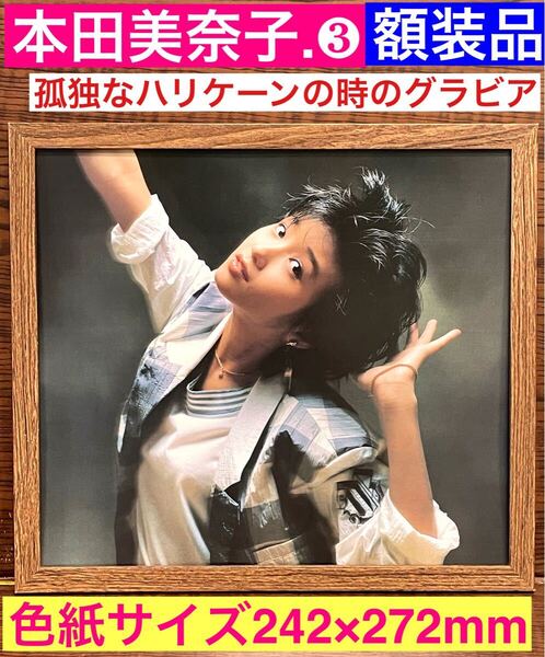 額装品★本田美奈子③★貴重なグラビア★孤独なハリケーンのプロモーション為に撮られたグラビア★当時印刷物★色紙サイズ額入り