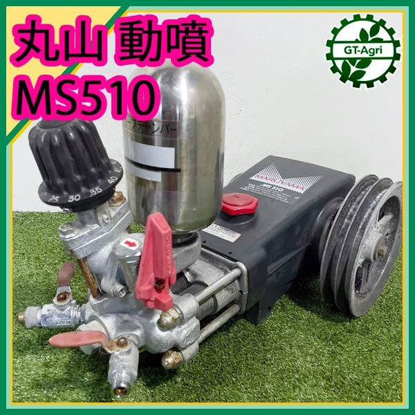 Yahoo!オークション -「ms510」(花、園芸) の落札相場・落札価格 Yahoo!オークション -「ms510」(花、園芸) の落札相場・落札価格