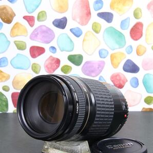◇遠くを撮るならこのレンズ♪ ◇Canon キヤノン 75-300mm USM