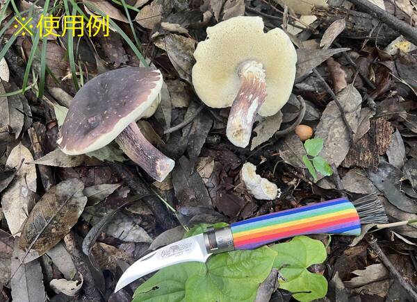 Old Bear キノコ狩り用 折りたたみナイフ フォールディングナイフ USA製 #938719MAK (検索: タマゴタケ アミガサタケ 松茸 ポルチーニ )