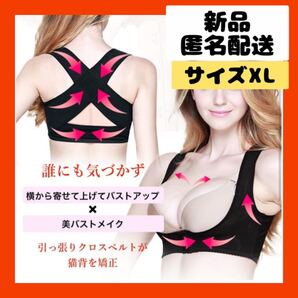 【即購入可】猫背 矯正 バスト メイク インナー 背筋 姿勢 谷間 美乳 下着