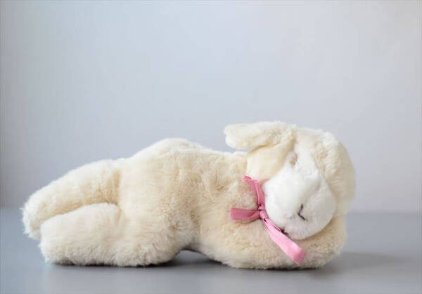 ドイツ製 Steiff 居眠り子羊 Bedtime Lamb シュタイフ ヒツジ ぬいぐるみ ドール フィギュア アンティーク ig4295
