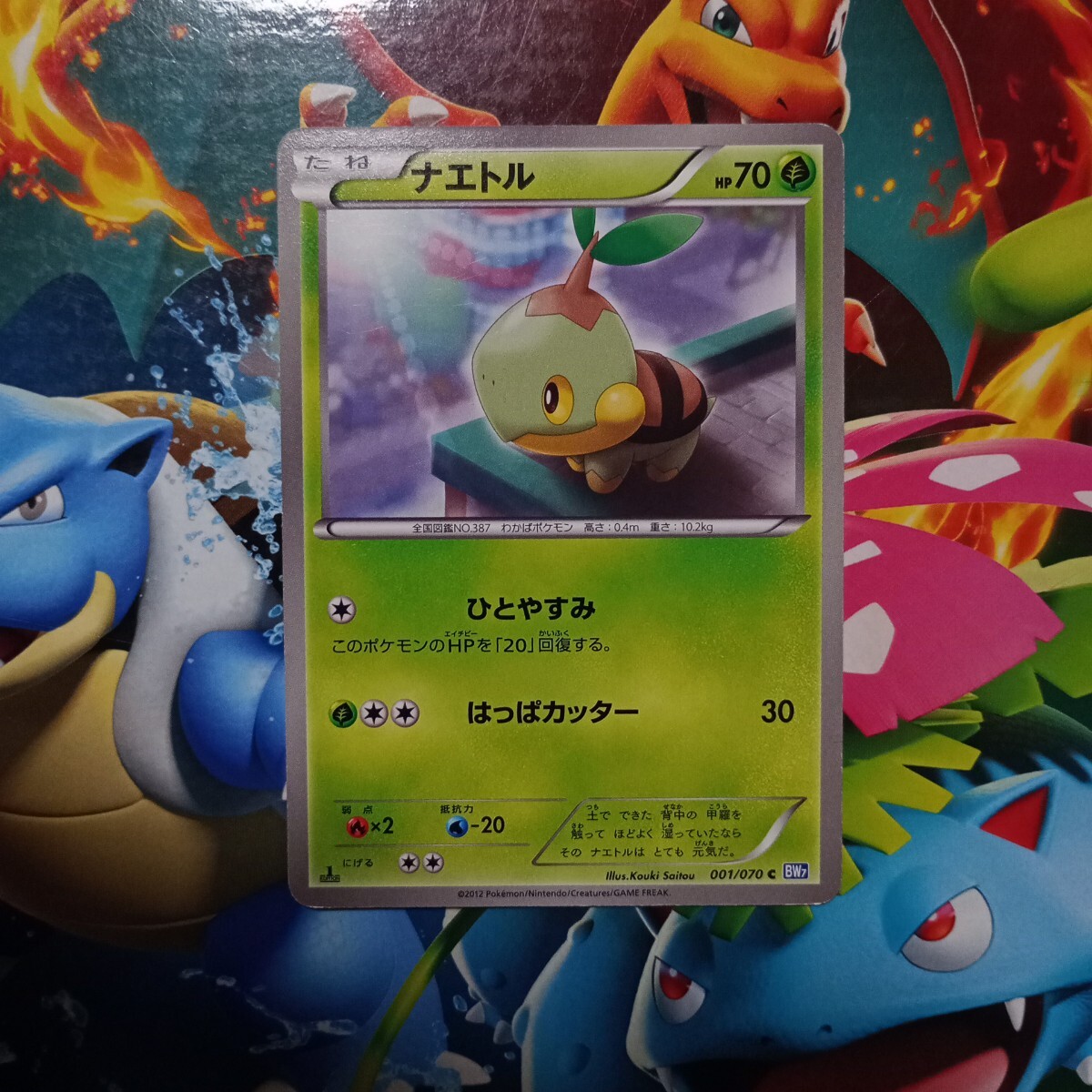 Yahoo!オークション -「ポケモン ナエトル」(トレーディング