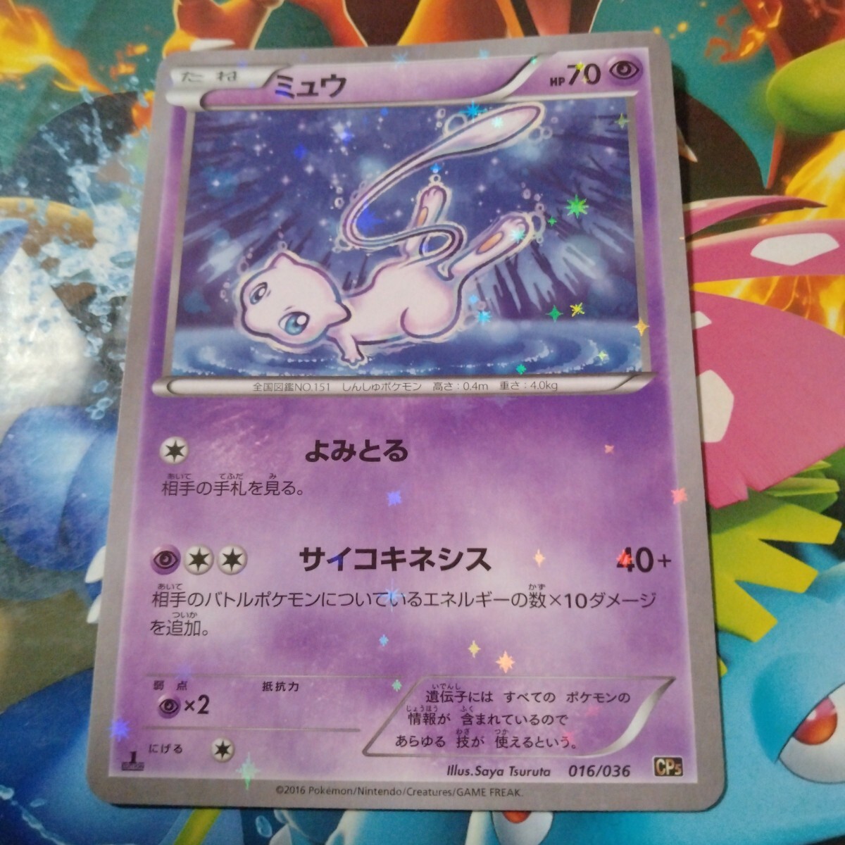 Yahoo!オークション -「ポケモンカード cp5 ミュウ」(ポケモン Yahoo!オークション -「ポケモンカード cp5 ミュウ」(ポケモン