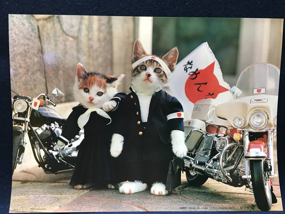 2025年最新】Yahoo!オークション -なめ猫(その他)の中古品・新品 2025年最新】Yahoo!オークション -なめ猫(その他)の中古品・新品