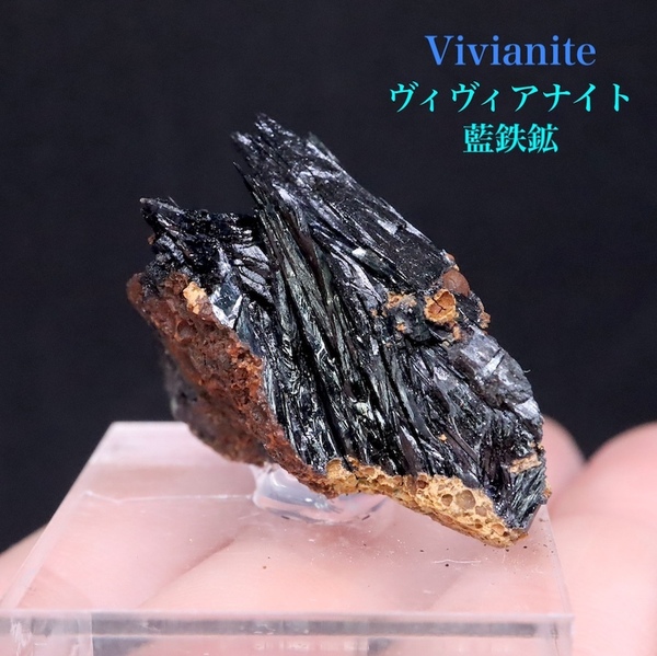 【送料無料】※SALE※ ヴィヴィアナイト 藍鉄鉱 ウクライナ産 原石 VVN001 鉱物 原石 天然石 パワーストーン
