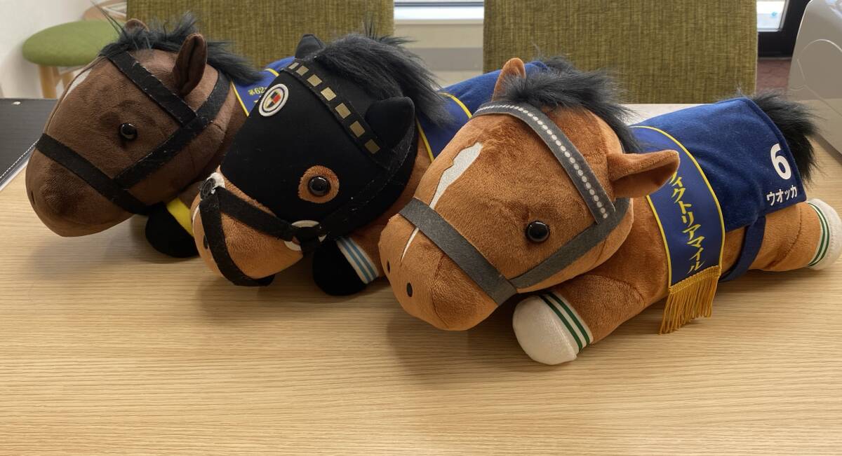 Yahoo!オークション -「ウオッカ ぬいぐるみ」(競馬) の落札相場 Yahoo!オークション -「ウオッカ ぬいぐるみ」(競馬) の落札相場