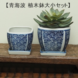 【青海波1個】植木鉢 大小2点セット 四角 正方角切 多肉植物 盆栽
