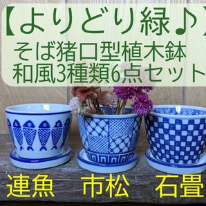 【よりどり緑♪】そば猪口型植木鉢 和風3種3点セットSU3-3 多肉植物 サボテン ミニ盆栽