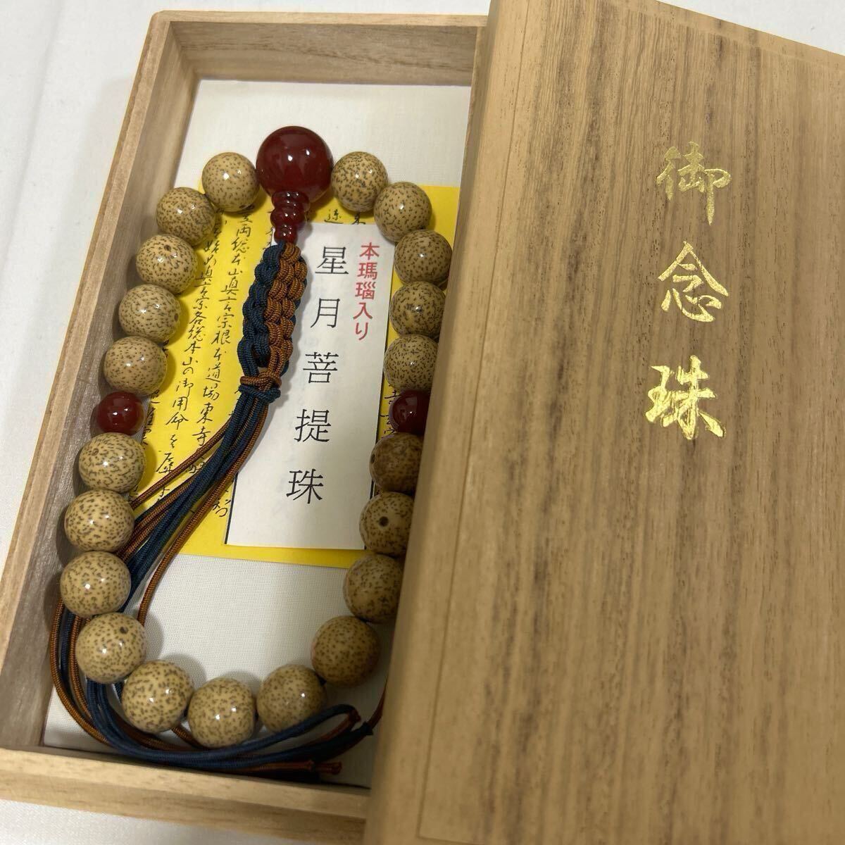 Yahoo!オークション -「天竺菩提樹」の落札相場・落札価格 Yahoo!オークション -「天竺菩提樹」の落札相場・落札価格