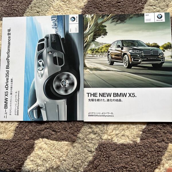 BMW. X5. 2013.10. カタログ