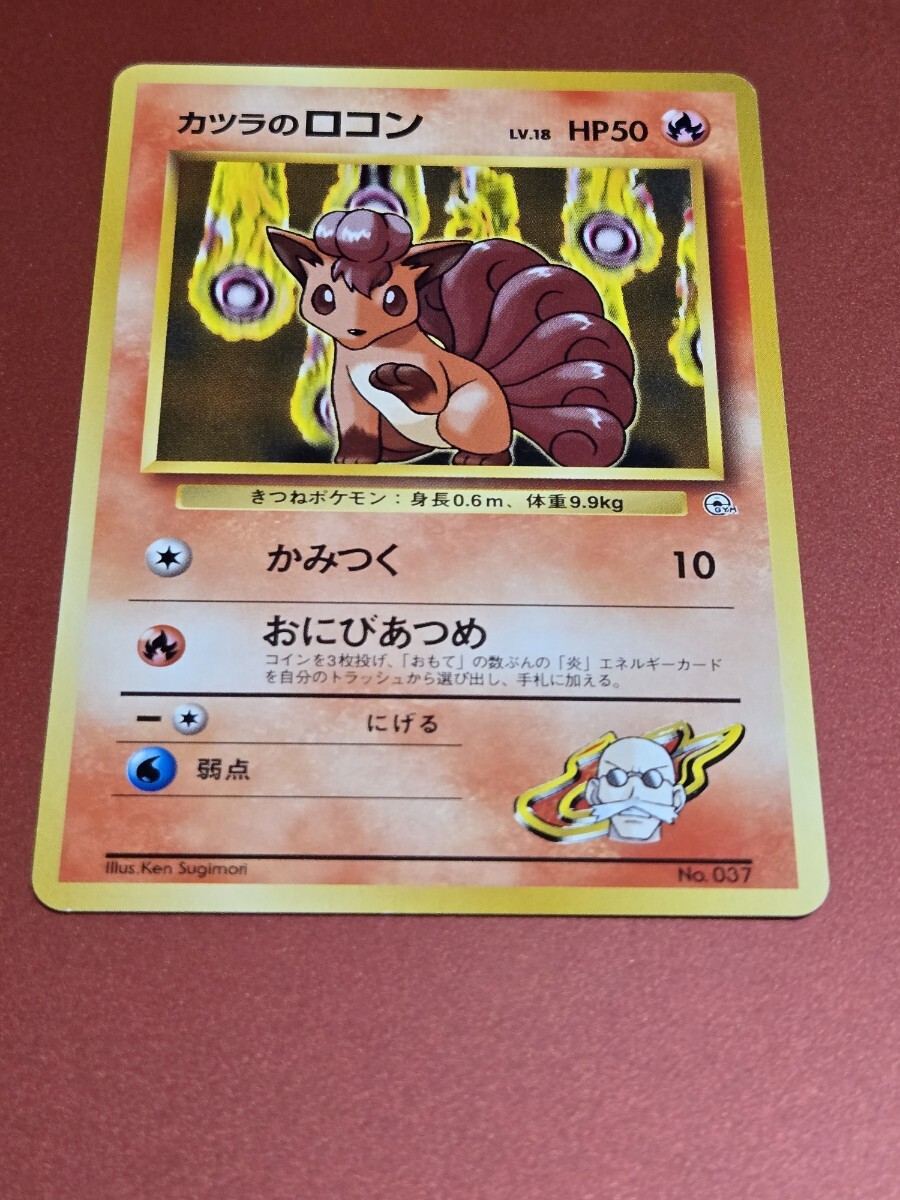 2025年最新】Yahoo!オークション -ポケモンカード カツラの中古 2025年最新】Yahoo!オークション -ポケモンカード カツラの中古