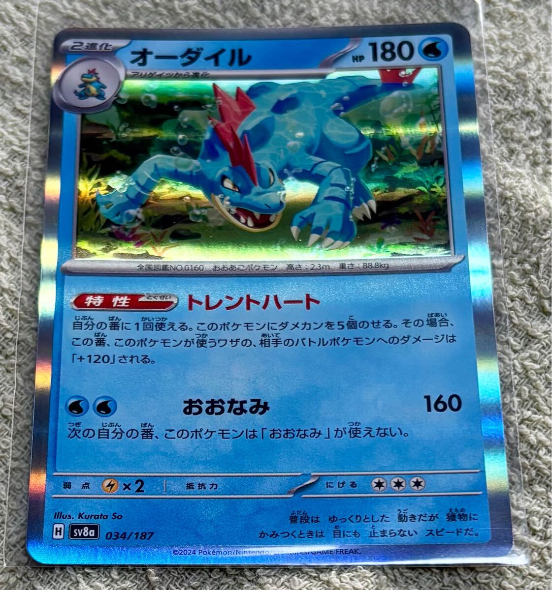 Yahoo!オークション -「オーダイルex」(ポケモンカードゲーム Yahoo!オークション -「オーダイルex」(ポケモンカードゲーム