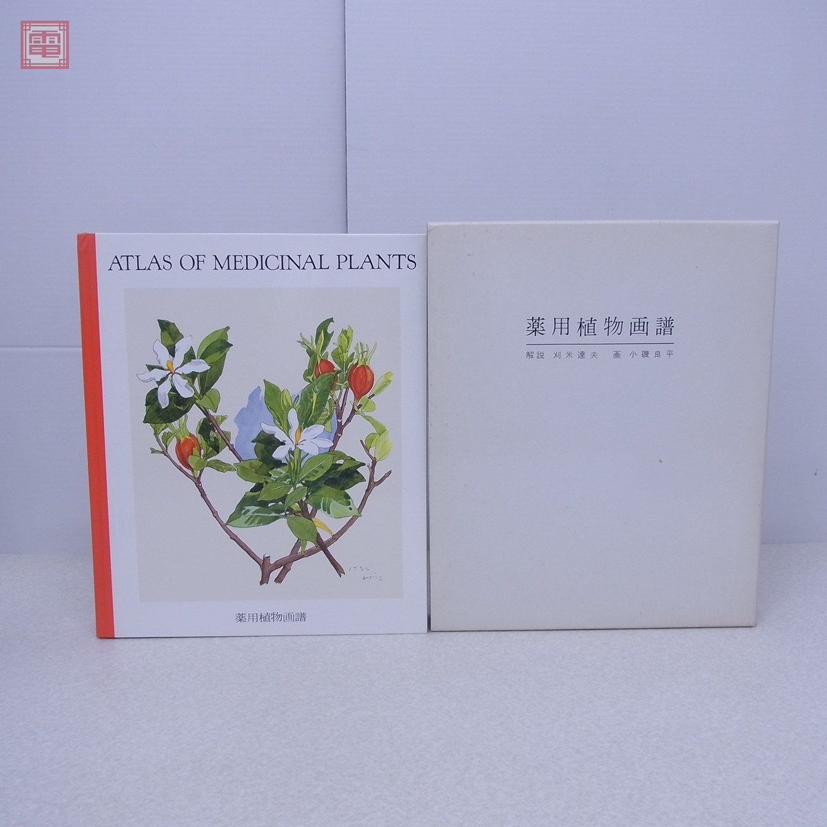 Yahoo!オークション -「薬用植物画譜 小磯良平」の落札相場 Yahoo!オークション -「薬用植物画譜 小磯良平」の落札相場