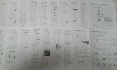 サピックス*6年*理科/知識の総完成 プリント・全19回 完全版~書込少なし*赤シート対応 解答あり/入試直前ポイント整理 暗記*貴重