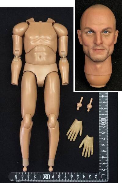 送料無料) 1/6 ヘッド 素体 可動ハンド ウディ・ハレルソン 似 VTS タラハシ (検 DAMTOYS easy&simple DID TBleague phicen フィギュア