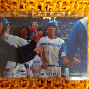 カルビー プロ野球チップス 日本ハム 万波チェックリストカード C-12