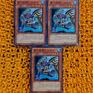 遊戯王 傷あり 真六武衆-シナイ 3枚