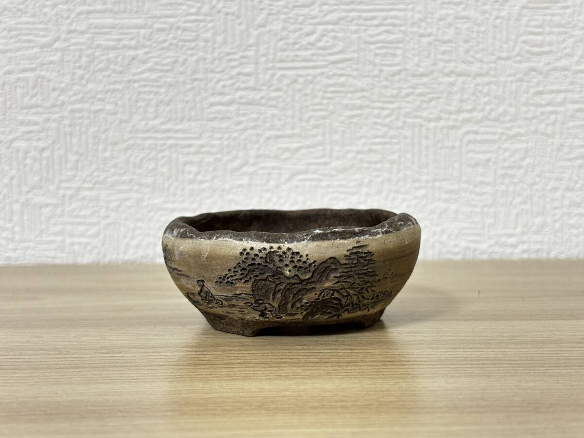 Yahoo!オークション -「光峰」(花、園芸) の落札相場・落札価格 Yahoo!オークション -「光峰」(花、園芸) の落札相場・落札価格