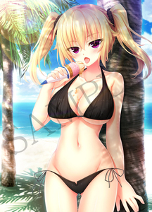 PSvita版 ノラと皇女と野良猫ハート ソフマップ 特典 B2タペストリー/大空樹