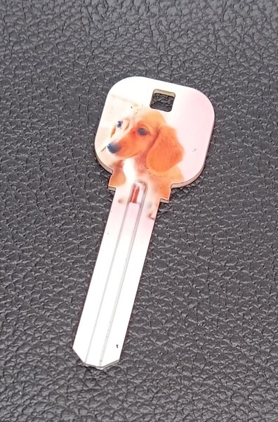 スペアキー 合鍵 ブランクキー MIWA H248 ファッションキー アートキー 犬 ダックスフンド Dog