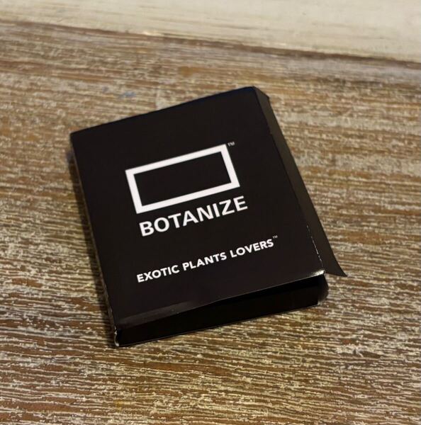 BOTANIZE CAUDEX MAGNET #5 パキポディウム ウィンゾリー (ボタナイズ・マグネット)