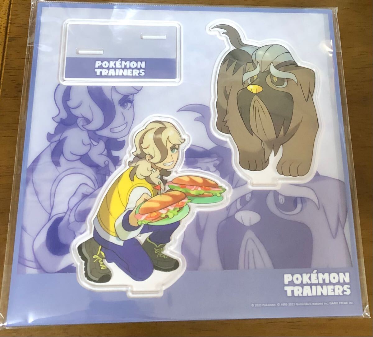 ポケットモンスター ミニトレーナーズファイル 当時物