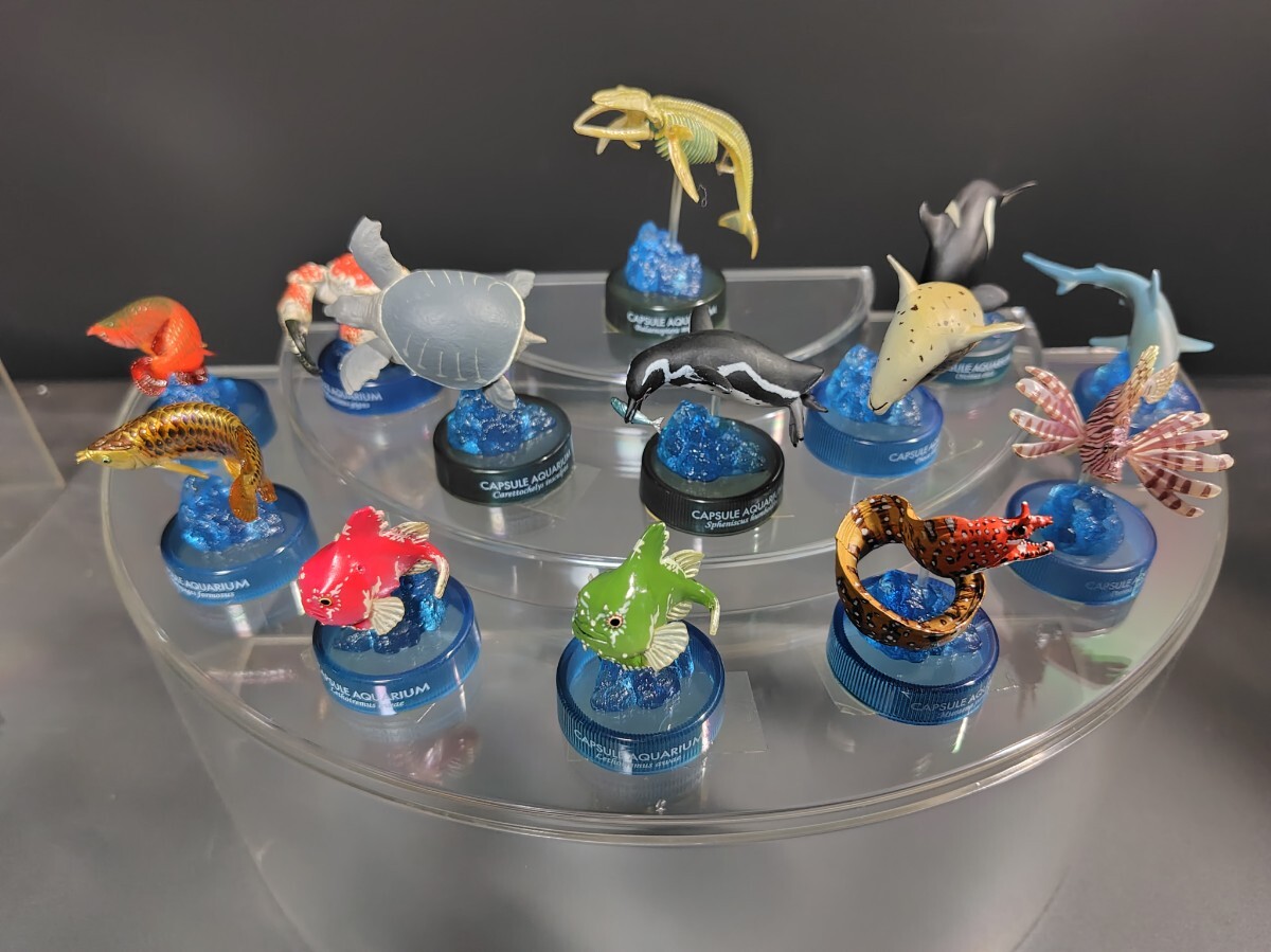 Yahoo!オークション -「海洋堂 日本水族館立体生物図録」の落札 Yahoo!オークション -「海洋堂 日本水族館立体生物図録」の落札