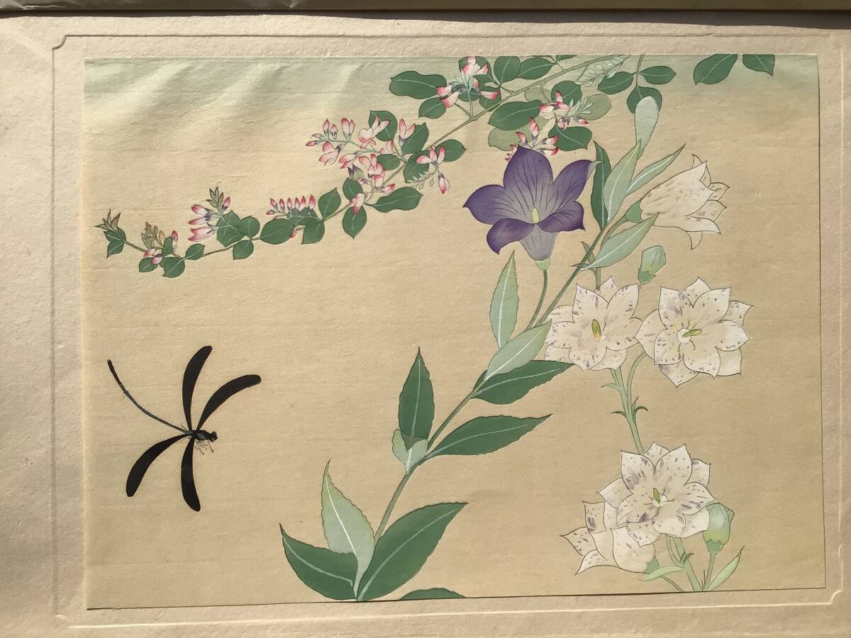 版画 ききょう Yahoo!オークション -「桔梗」(版画) (美術品)の落札相場・落札価格