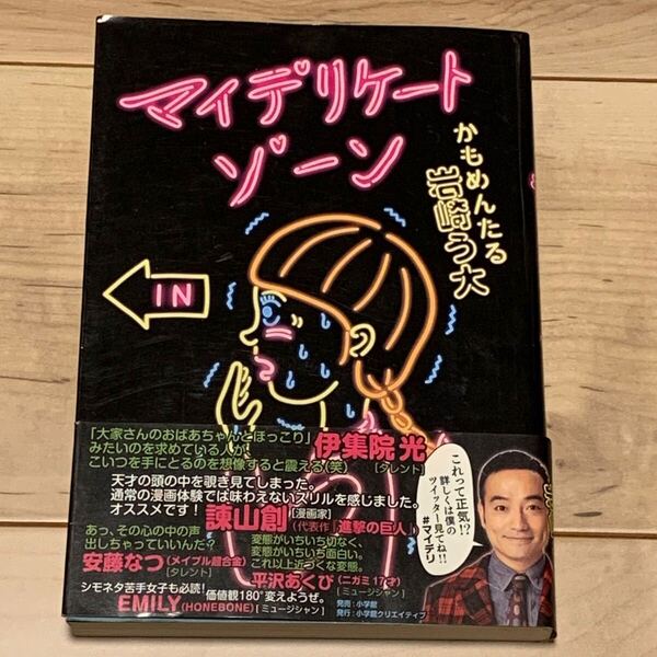 初版帯付 かもめんたる 岩崎う大 マイデリケートゾーン 小学館刊