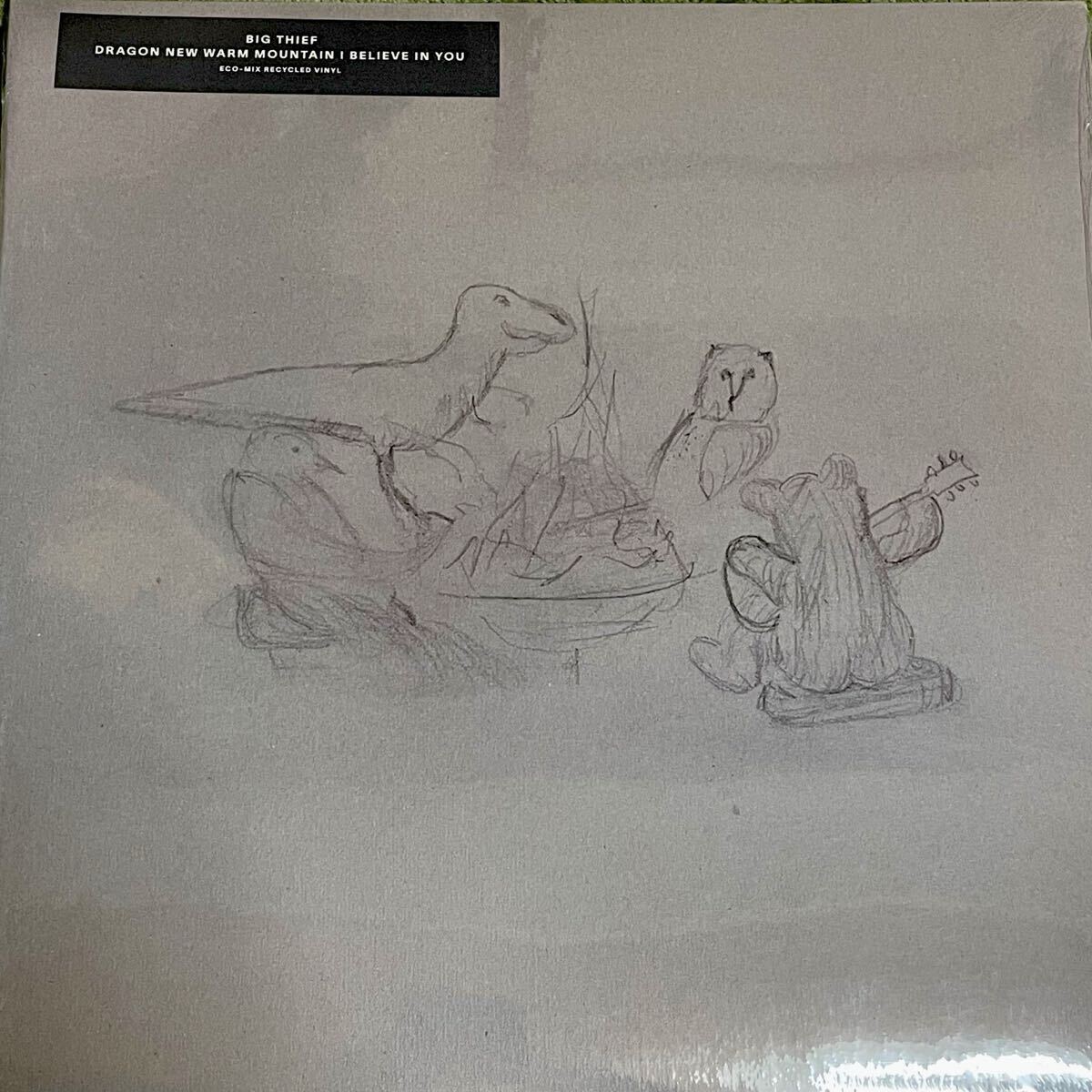 【新品未開封】【レコード】Big Thief Dragon New Warm 2025年最新】Yahoo!オークション -big thief(レコード)の中古品