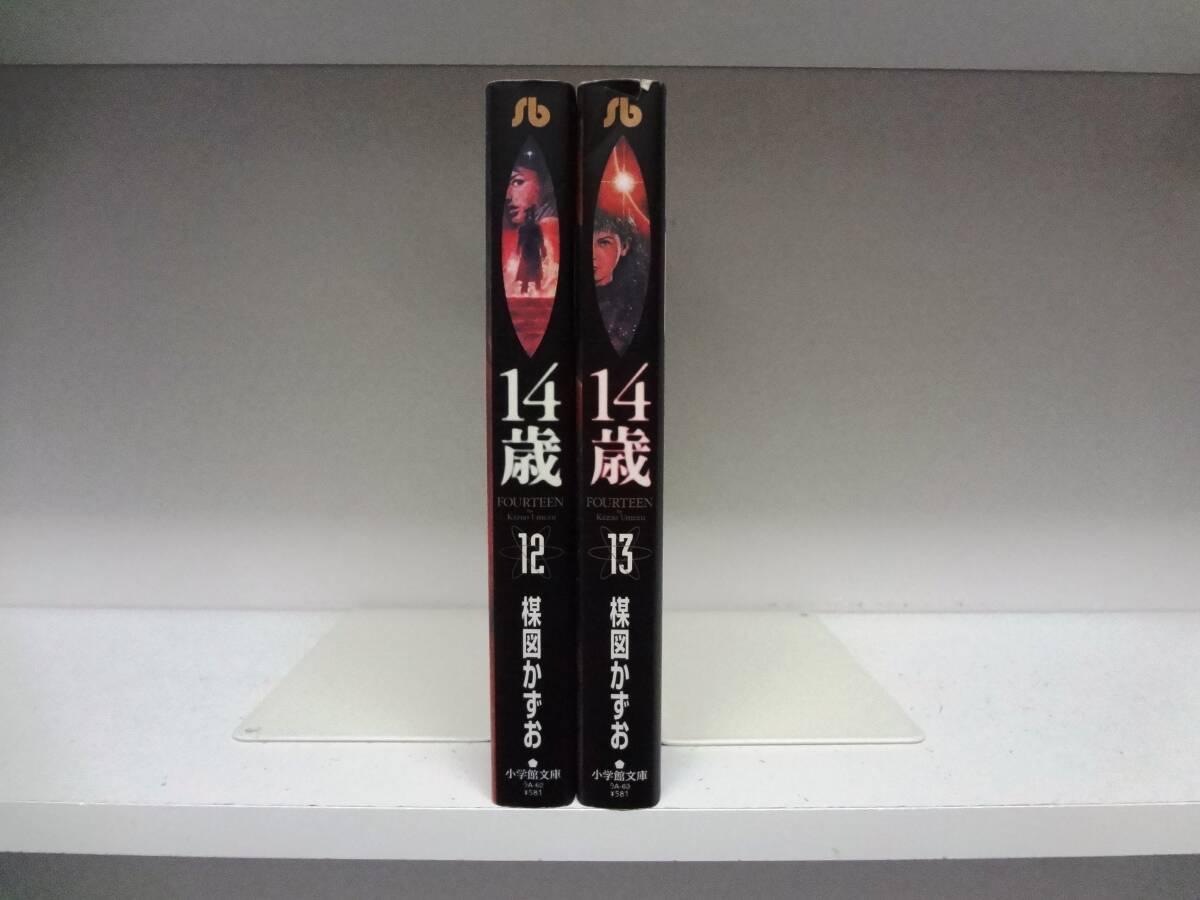 2025年最新】Yahoo!オークション -楳図かずお 14歳の中古品 2025年最新】Yahoo!オークション -楳図かずお 14歳の中古品