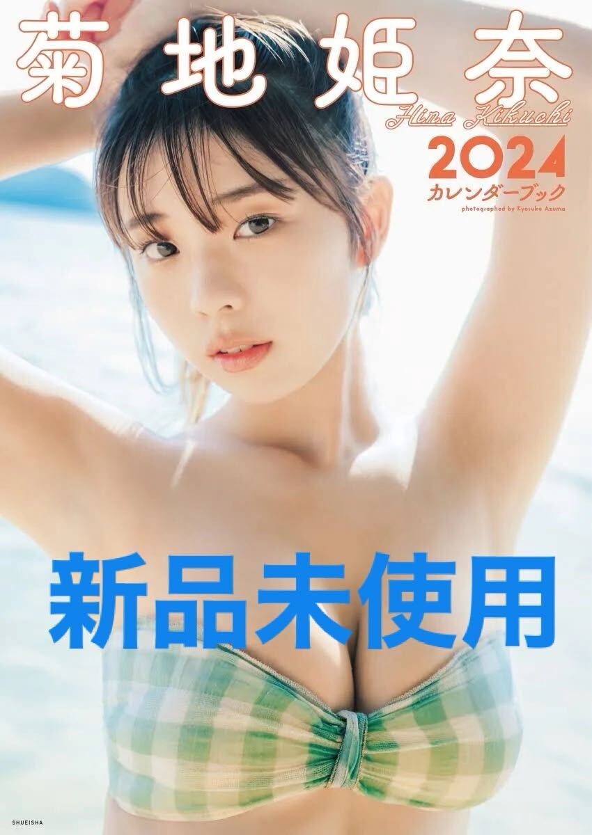 有名ブランド 2025年最新】Yahoo!オークション -菊地姫奈 カレンダーブックの カレンダー・スケジュール