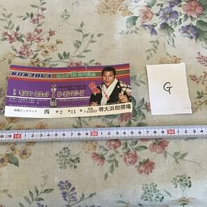 プロレスチケット 新日本プロレス 旗揚げ10周年記念 第5回 マジソンスクェアーガーデンシリーズ 堺大浜相撲場 使用済み G