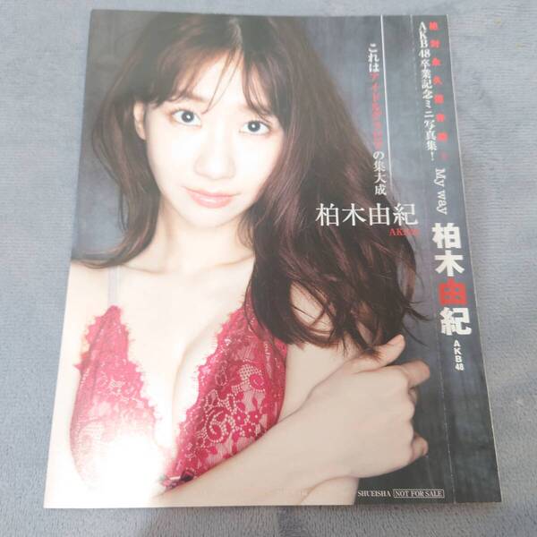柏木由紀 未開封ミニ写真集 セット 切り抜き 10ページ
