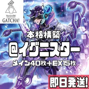 即日発送!@イグニスターデッキ 遊戯王 バックアップ リンクデコーダー