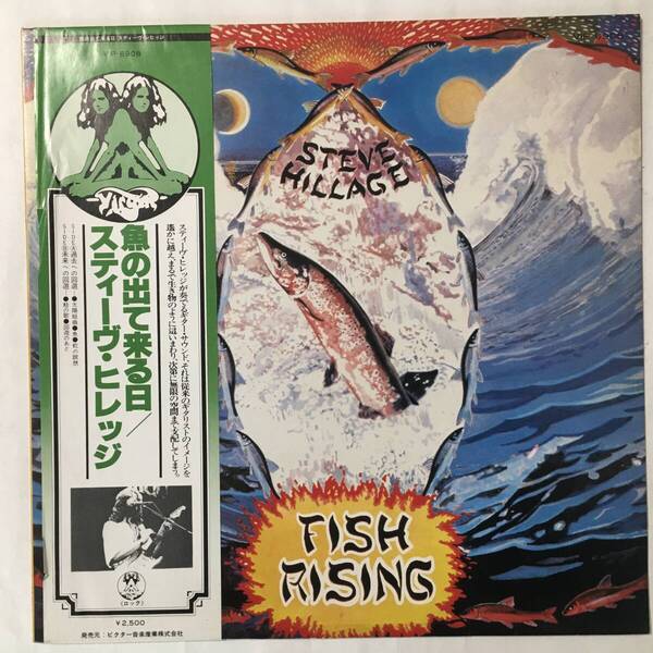 PROMO STEVE HILLAGE FISH RISING GONG