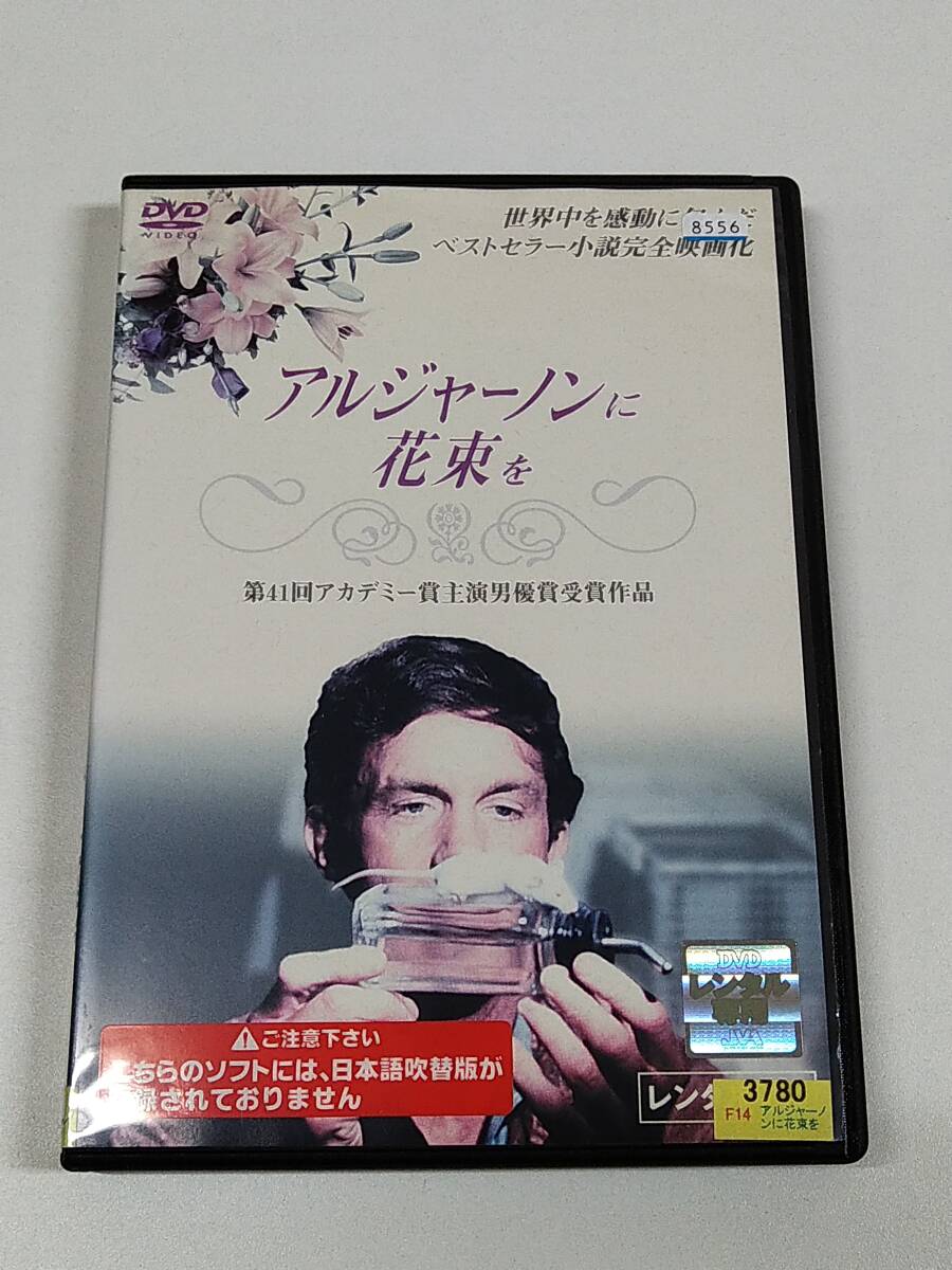 Yahoo!オークション -「アルジャーノンに花束をdvd」の落札相場