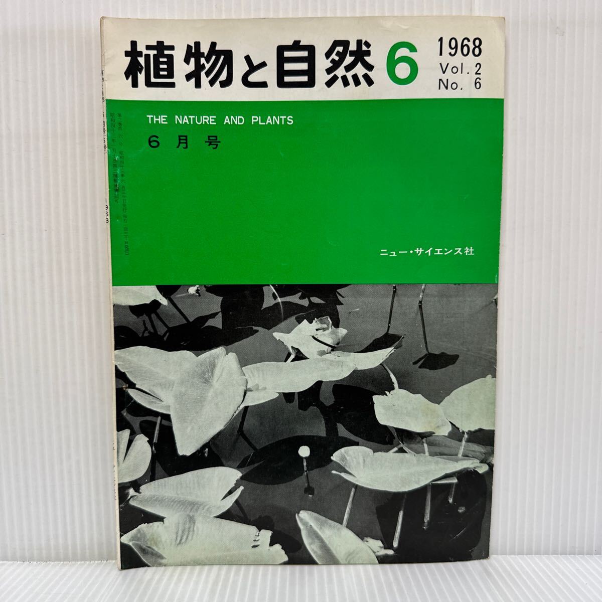2025年最新】Yahoo!オークション -#コウホネの中古品・新品・未