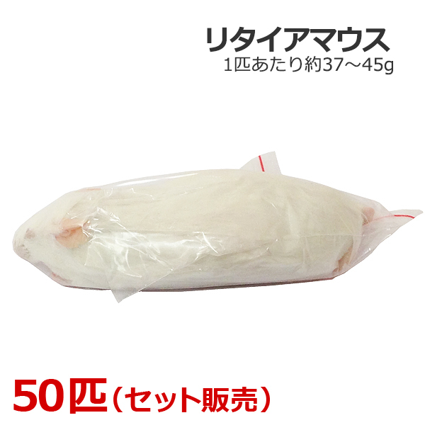 2025年最新】Yahoo!オークション -冷凍マウスリタイアの中古品